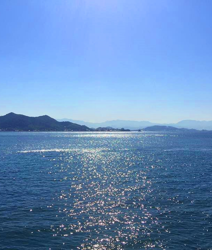 石丸弥蔵商店とは